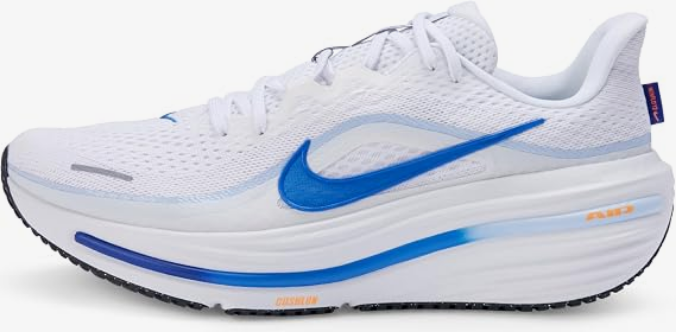 Nike Air Winflo 12